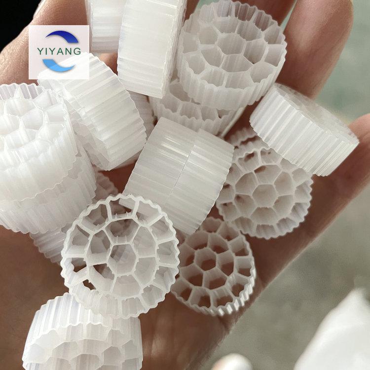 澳门朱雀网